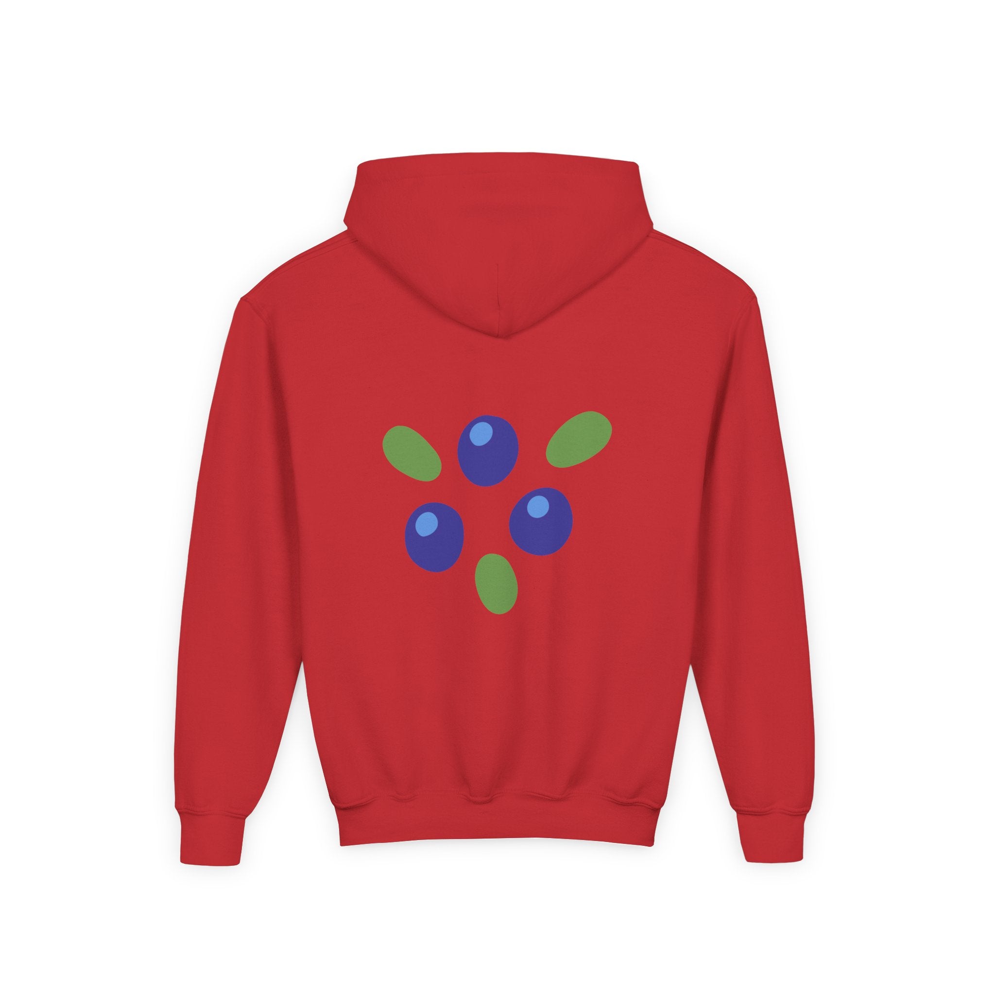 Youth Hoodie - "Love Is Patient" Christian Kids Sweatshirt (Olive/Blue Berry Back Design)