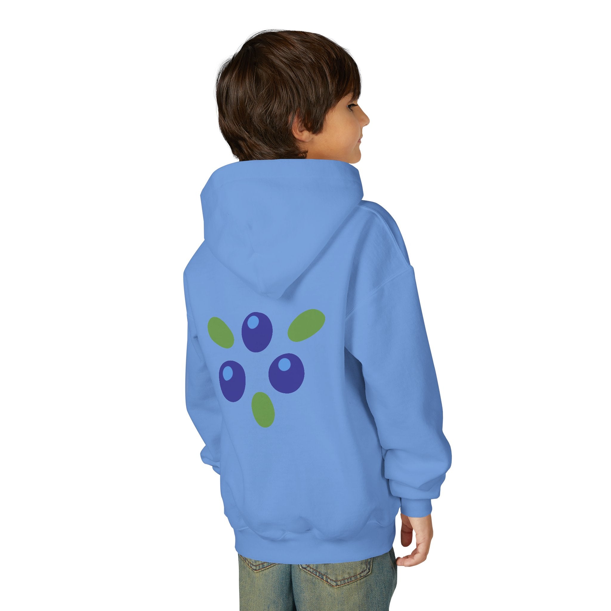 Youth Hoodie - "Love Is Patient" Christian Kids Sweatshirt (Olive/Blue Berry Back Design)