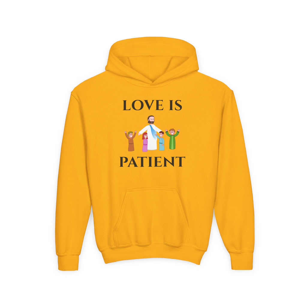 Youth Hoodie - "Love Is Patient" Christian Kids Sweatshirt (Olive/Blue Berry Back Design)
