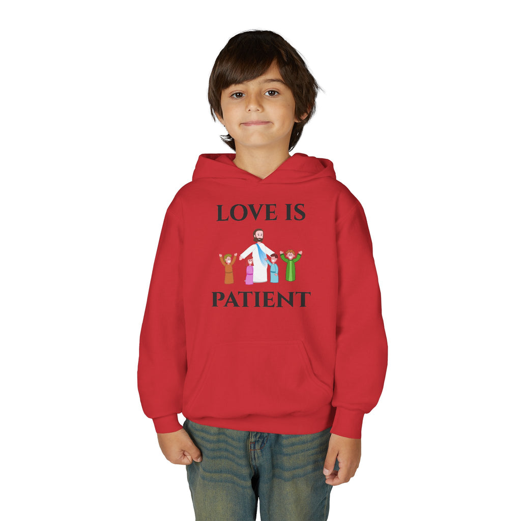 Youth Hoodie - "Love Is Patient" Christian Kids Sweatshirt (Olive/Blue Berry Back Design)
