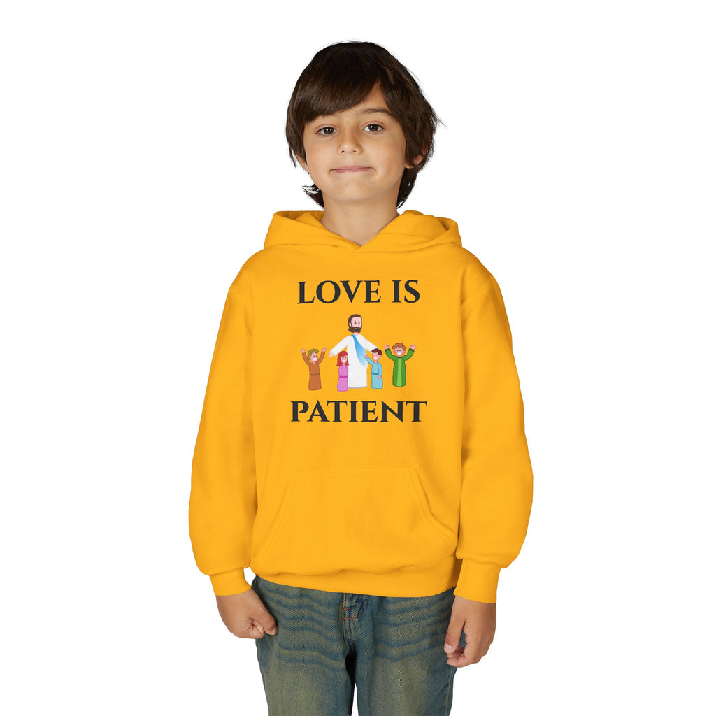 Youth Hoodie - "Love Is Patient" Christian Kids Sweatshirt (Olive/Blue Berry Back Design)